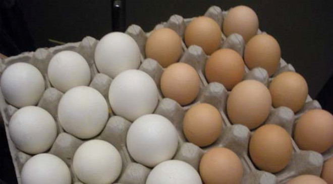 12. Yumurta: Beyaz en dk dzeyde kalori (ve sfr ya ya da kolesterol) ieren yumurtann sars ise kt nyle bilinir. Fakat yumurtann sarsnda B12 ile A vitamini ile hamileler iin olduka nemli olan kolin isimli besin bulunuyor.
