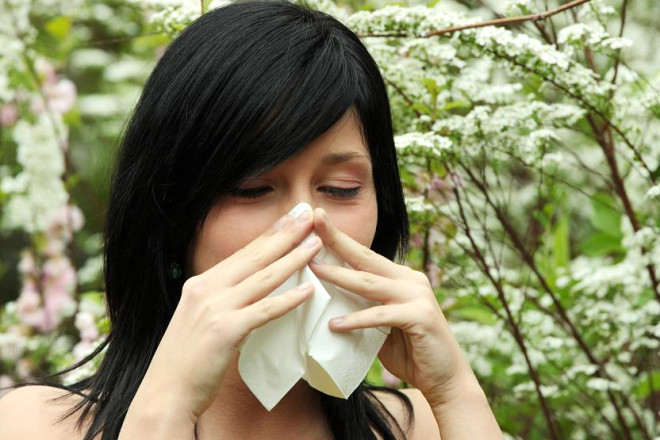 Elbette yaa gre sk grlen alerjik hastalklar deiiklik gsterebilir; bu nedenle her ya grubu iin farkl belirtilerin altnda alejrik hastalk dnmek gerekir.