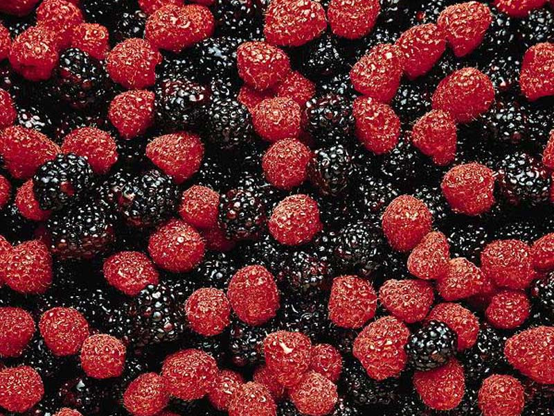 B���rtlenler antioksidan ve di�er bitki k�kenli kimyasallar y�n�nden zengindir, ayn� zamanda �nemli magnezyum ve K vitamini kaynaklar�d�r.