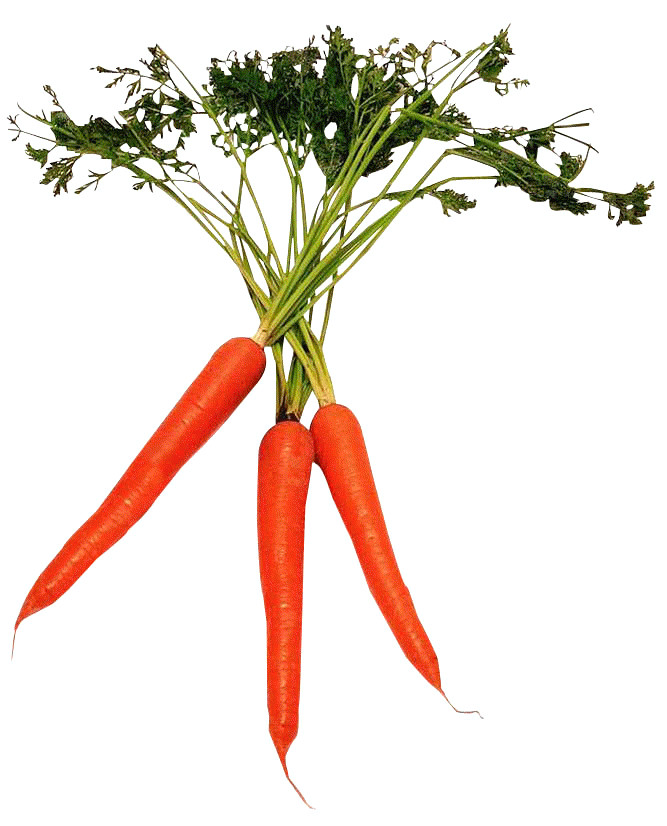 Havu�, �nemli derecede C, B6 vitaminleri ve Demir i�erir. Balkaba��nda da riboflavin, potasyum ve Vitamin C bolca bulunmaktad�r.