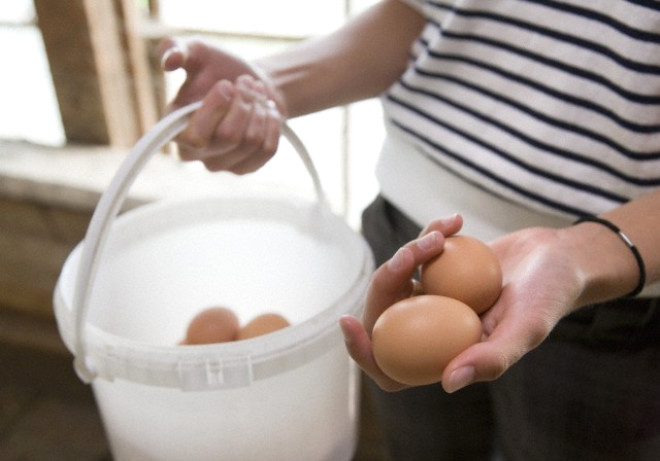 Yumurtann tmne yakn protein, bu nedenle nemli lde tokluk hissi veriyor. ki ince dilim, esmek ekmek, az miktarda yasz peynir ve bir adet halanm yumurta ile yapacanz kahvalt gn boyu daha tok hissetmenizi salyor.