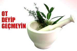 Ot Deyip Ge�meyin