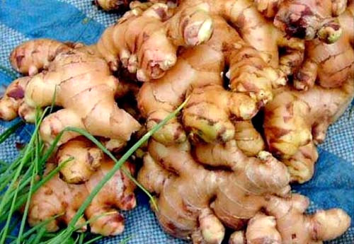 Akta�, kestane bal�, zencefil, zerde�al, havl�can, ayva yapra��, hatmin �i�e�i ve ebe g�mecinin de t�ketilmesi �nerisinde bulundu.
