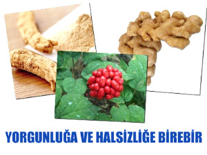 Yorgunluk ve Halsizli�e Birebir