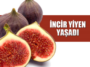 �ncir Yiyen Ya�ad�