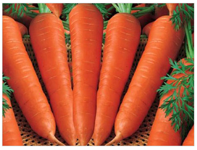 Havu, balkaba, kabak ve tatl patatesten oluan bu grup sebzeler, iyi birer A vitamini kaynadr. Karoten ierdiklerinden kansere kar koruyucu etkileri olduu da biliniyor.
