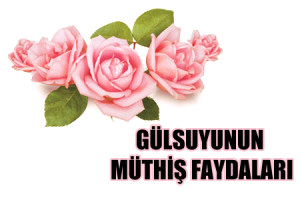 G�l Suyunun M�thi� Faydalar�