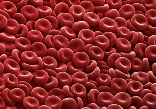 1. Krmz Kan Hcreleri: Kbik milimetrede, kadnlarda 4-5 milyon, erkeklerde 5-6 milyon adet krmz kan hcreleri bulunuyor. Grevleri tm vcuda oksijen tamak. Eer oksijeni dk bir evrede yayorsanz bu deerlerinizde art oluyor.