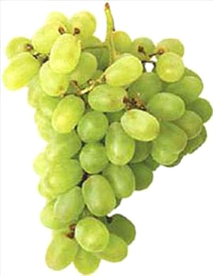 G�zel olan her�eyi seviyorsunuz.
