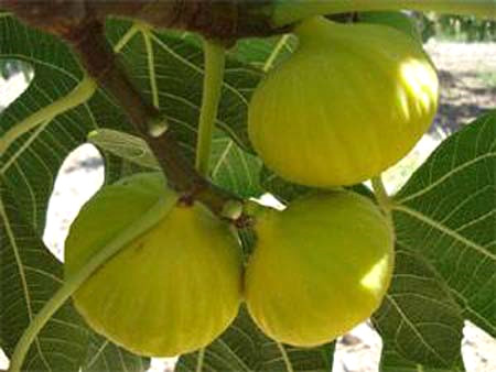 Partnerinizde tutkulardan �nce beyine bak�yorsunuz.
