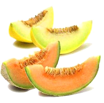 E�lenceli ki�ili�iniz ve c�mert yap�n�z nedeniyle insanlar size �ekiliyor.
