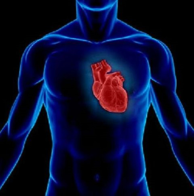 Kalp gnde ortalama 100 bin kez atyor.