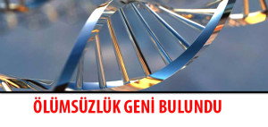 �l�ms�zl�k Geni Buldu
