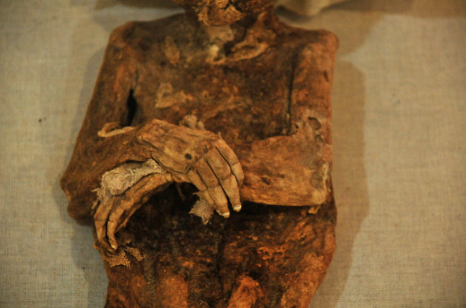 Unlocking History: Unveiling the Story Behind the Basketmaker Mummy in Archival Revelation