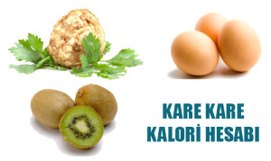 Kare Kare Kalori Hesab�