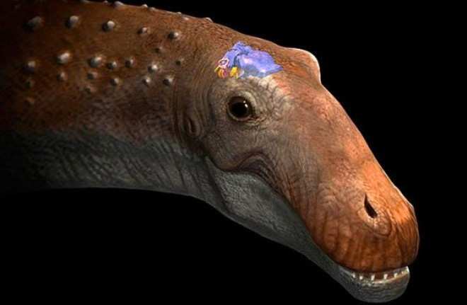 Dinozorlar: Bilim insanlarnn dinozorlar tekrar canlandrmak iin planlar yok deil. Ama bu planlar Jurassic Park filminden biraz farkl. Paleontolog Jack horner, dinozorlar tavuklar araclyla