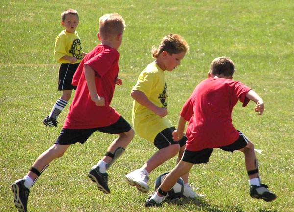 Bilgiyi v�cutlar�ndaki hislerle i�lerler. Hareket etmeyi, ki�ilerle konu�urken onlara dokunmay�, jest ve mimiklerini kullanmay� severler. Her t�rl� sporu ve fiziksel aktiviteleri severler.
