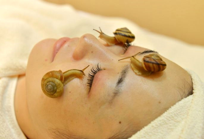Baz� insanlar�n dokunmaktan bile pek ho�lanmad��� salyangozla cilt bak�m� uygulayan salon,  m��terilerin ilgisini �ekece�e benziyor.