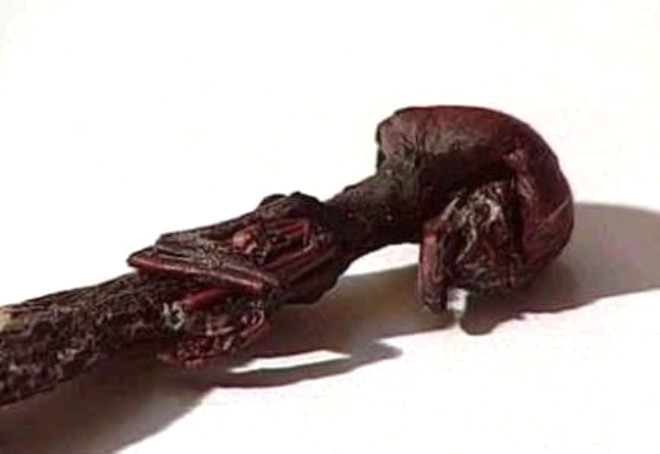 Minik nsans fosil:
7.2 santim byklndeki bu minik mi minik yaratk, 1 Ekim 2002