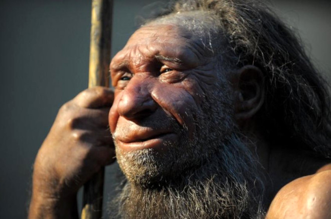 Church, Neandertallerin yeni bir kltr ve politik g oluturabileceini de belirtti.