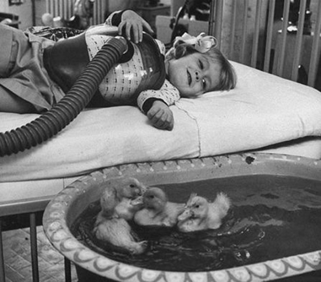 Hayvanlar tbbi tedavinin bir paras olarak kullanlmaya balad, 1956