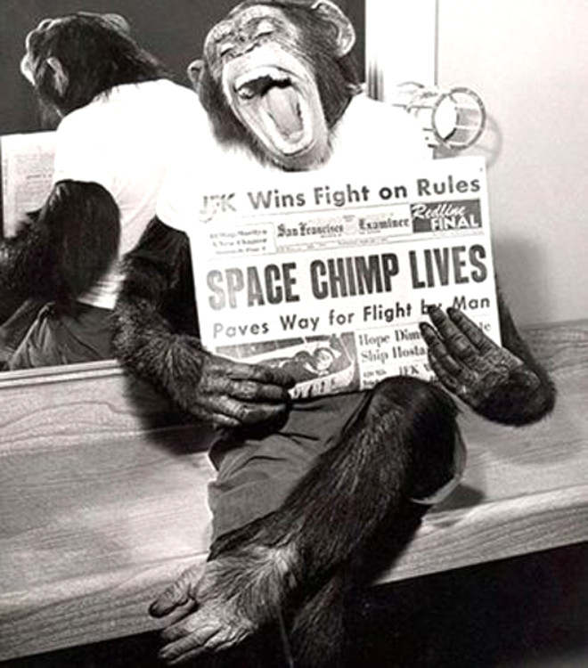 Uzayda baarl bir yolculuk geiren maymun, 1961