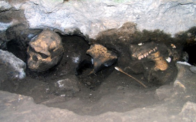 Grcistan Ulusal Mzesinin mdr profesr David Lordkipanidze, iki erkek ve 3 kadnn kalntlarndan oluan fosillerin, modern insann ncs homo erektusun ilk rnekleri olduunu syledi.