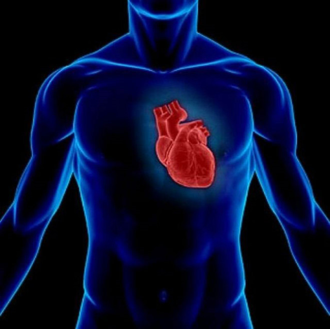 Kalp gnde ortalama 100 bin kez atyor.