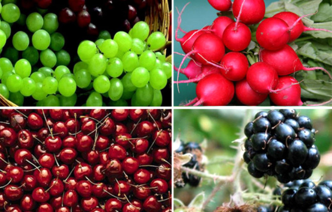 Aratrmalar, antioksidan asndan zengin sebze ve meyve tketmenin  kansere kar koruyucu etkisinin olduu gsteriyor.  te kansere kar koruyucu sebze ve meyveler...