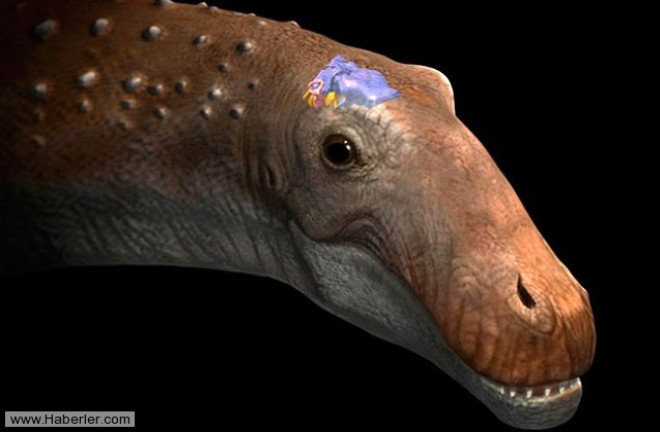 Dinozorlar: Bilim insanlarnn dinozorlar tekrar canlandrmak iin planlar yok deil. Ama bu planlar 