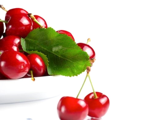 Vi�ne