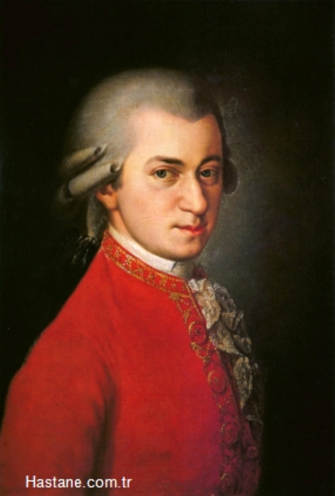 Wolfgang Amadeus Mozart: Cier orbas ve lahana turusu.