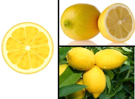 Kabu�un kendisi pi�irilmeyip, �ylece yenirse, hazmedilmez. Onun kabu�unun pi�mi�i kusmay� �nler. Onun ek�i suyu mide cidar�na yararl�d�r. Ek�i limon sar�l��a da yararl� olur. O, safravi kusmay� �nler ve a��c� etki g�sterir. Limon kullan�lacaksa, ondan �nce ve sonra hi�bir �ey yenmemesi gerekir.