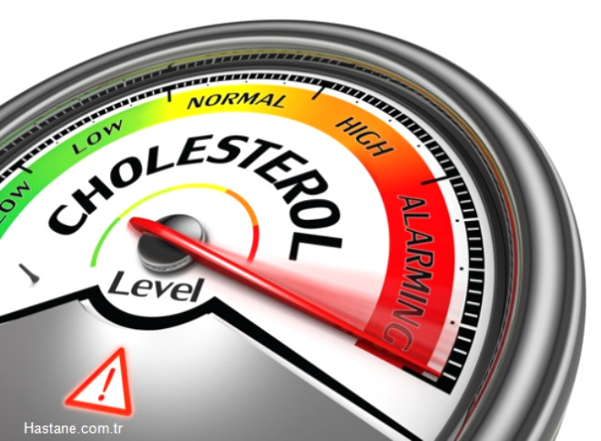 Kolesterol oran dk olup trans ya asidi iermediinden salkl bir besindir.