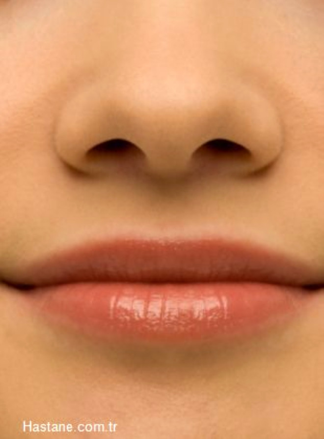 Изгиб губ. Губы человека. Прямые губы. Круглые губы. Тонкие женские губы.