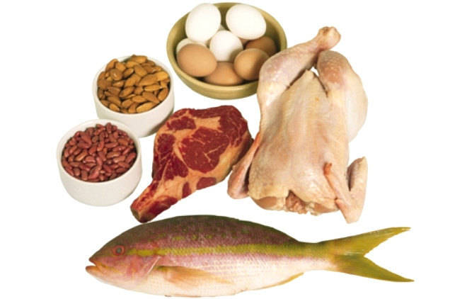 Her ne bir protein ilave edin Proteinli yiyeceklerin sindirim sresi, dier besinlere gre daha uzun olduundan tr termik etki ad verilen enerji harcamasn arttrrlar.
