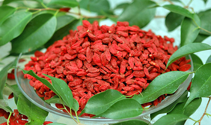 Goji ile birlikte kanser ilac� kullanan hastalarda olumlu cevaplar�n yaln�zca ila� kullanan hastalara oranla %250 oran�nda artt��� g�r�lm��t�r. 
 
