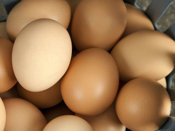 Yumurta: Y�llarca y�ksek kolesterol�n m�sebbibi diye d���nerek uzak durdu�umuz yumurta akland�, g�nde bir ka� yumurtan�n bir zarar� olmad��� ortaya ��kt�. Y�ksek protein de�eri sayesinde ya� yak�m�na yard�mc� olurken, i�erdi�i B12 vitamini sayesinde de ya� y�k�m�n� h�zland�r�yor. 
