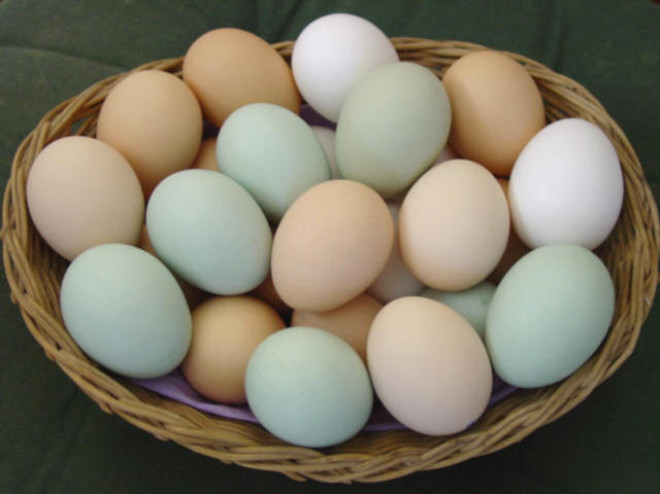 Yumurta. Yumurta, pek ok insann temel besin maddelerinden biridir. Ancak, Health.Com