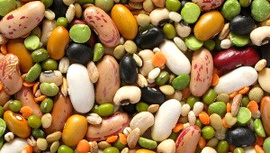 Protein Deposu Besinler Hangileri?