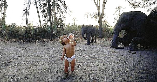 Tippi, annesi ve babas�na vah�i ya�amdan foto�raflar �ekerken e�lik ediyordu. 
