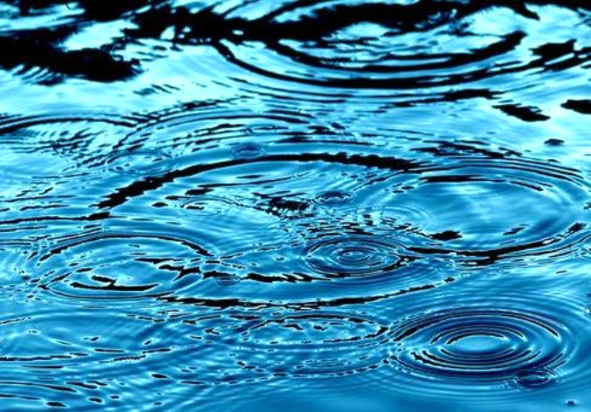 Vcudumuzun ve vcuttaki tm hcrelerin yaklak %60-65 i sudan oluur. nsanlar suyun alnd kadarnn vcuttan atldn dnse de aslnda idrarda kan miktardan ok daha fazlasna ihtiyacmz vardr. 

