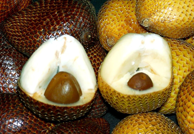 Salak: Talihsiz ismine ramen salak aslnda lezzetli bir meyve. Endonezya, Malezya ve Brunei