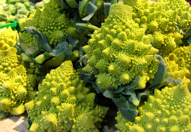 Romanescu: Karnabahara benzeyen bu bitki brokoliyi de andryor.
