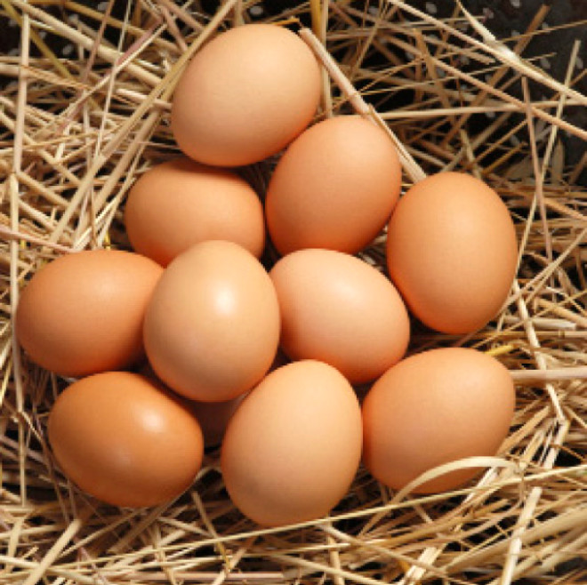 Her gn 1 adet yumurta ve 1 porsiyon etli sebze yemei veya kuru baklagil yenilmelidir.
