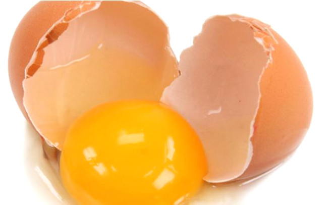 Yumurta: En temel besin kaynaklarndan olan yumurta ierisinde reyen ‘Salmonella