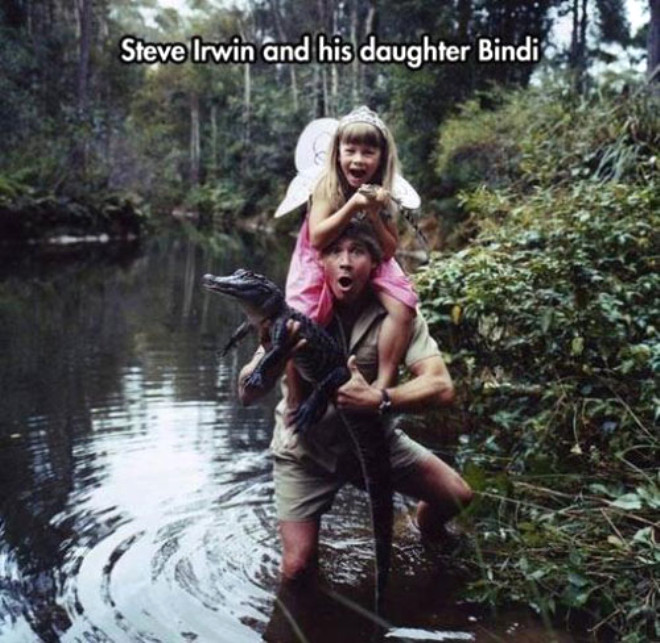 Timsah avcs Steve Irwin