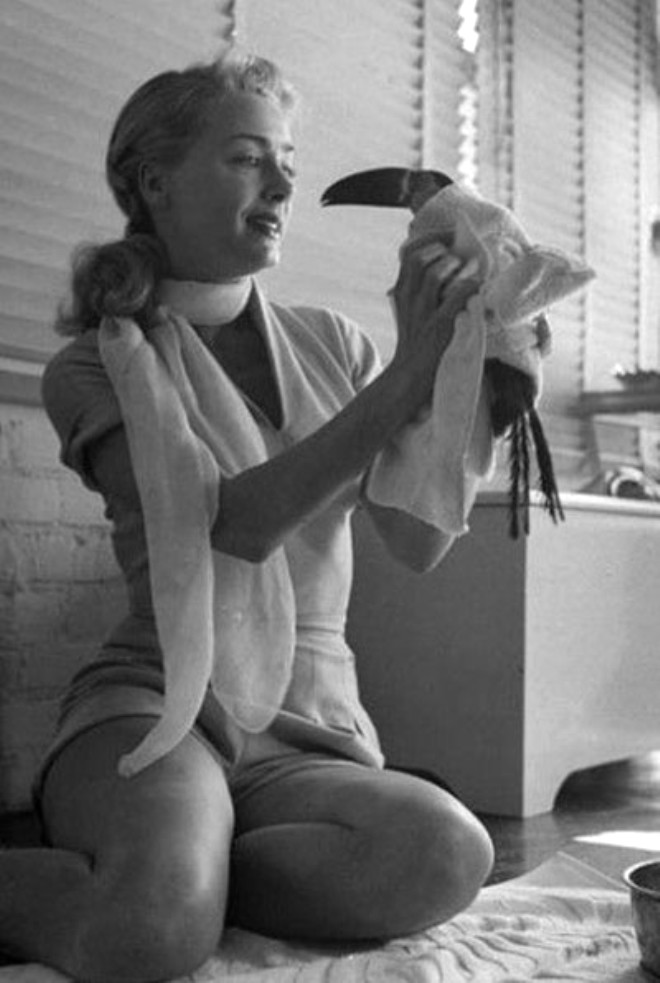 June Havoc ve onun Toucan