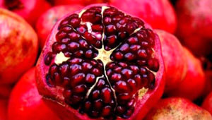 Nar�n Her Tanesinde �ifa Yat�yor