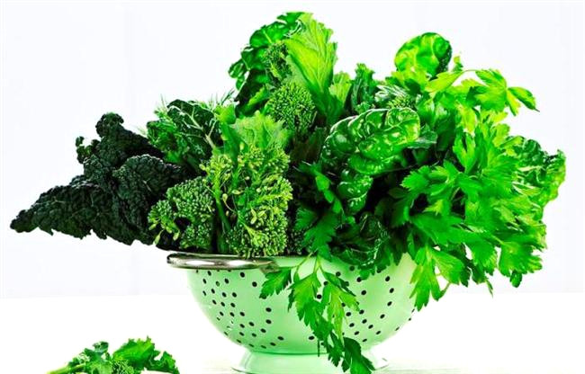 Koyu ye�il yaprakl� sebzeler: Koyu ye�il yaprakl� sebzeler, B vitamini ailesinde yer alan folik asitten zengindir. B vitaminleri bahar yorgunlu�u a��s�ndan �nem ta��d��� i�in koyu ye�il yaprakl� sebzelerin de sofram�zda bu mevsimde s�k�a yer almas� gerekir.

 

